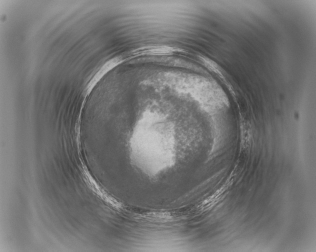 X0000053051194200507251415