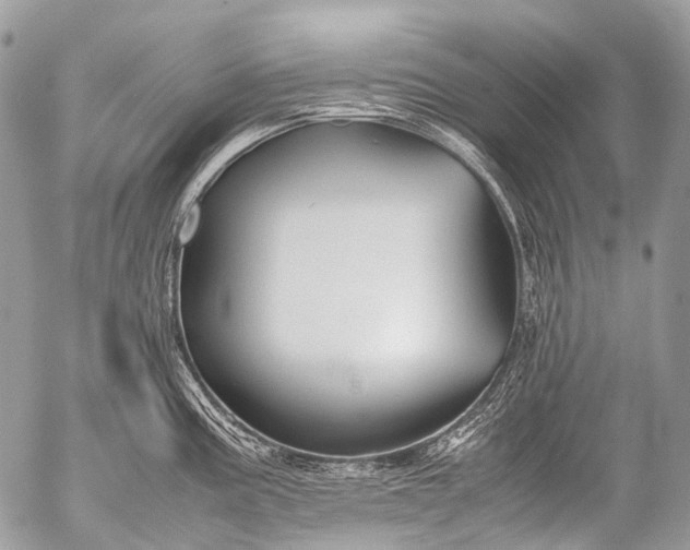 X0000053051195200507251415