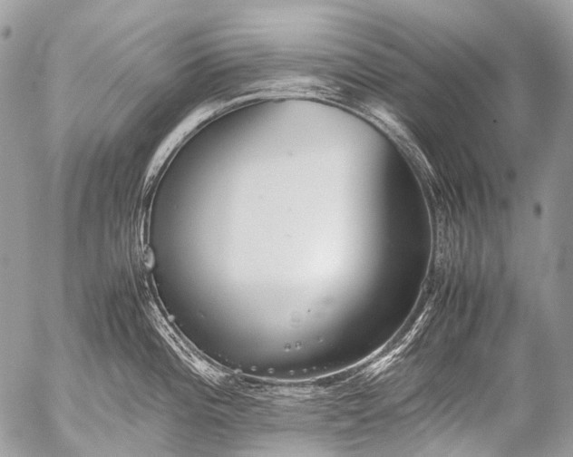 X0000053051196200507251415