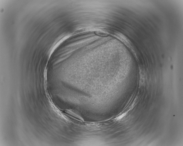 X0000053051198200507251415