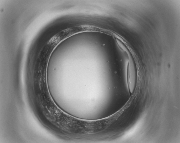 X0000053051199200507251415