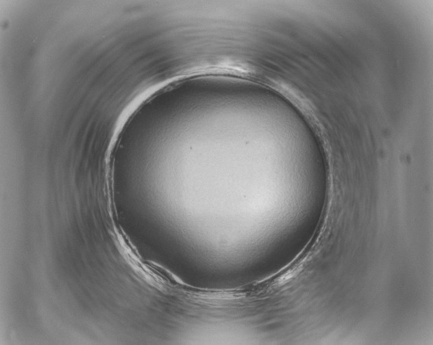 X0000053051200200507251415