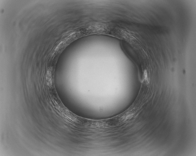 X0000053051203200507251414