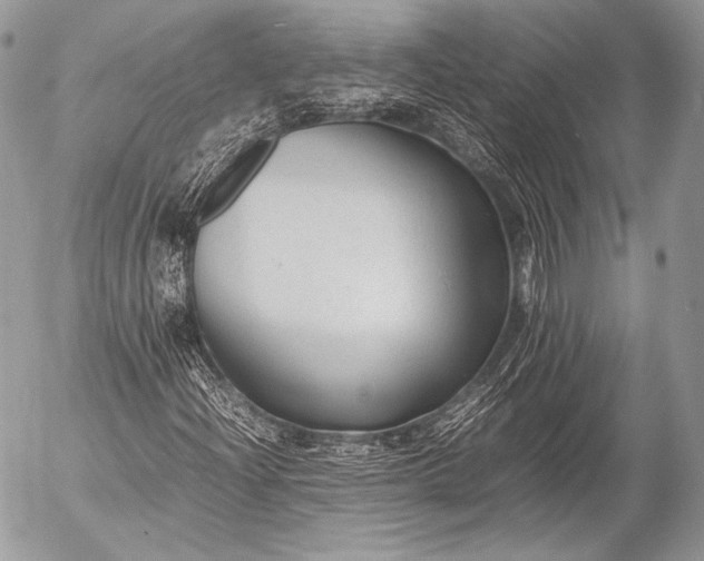 X0000053051204200507251414