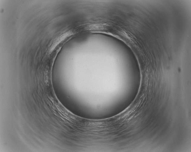 X0000053051211200507251414