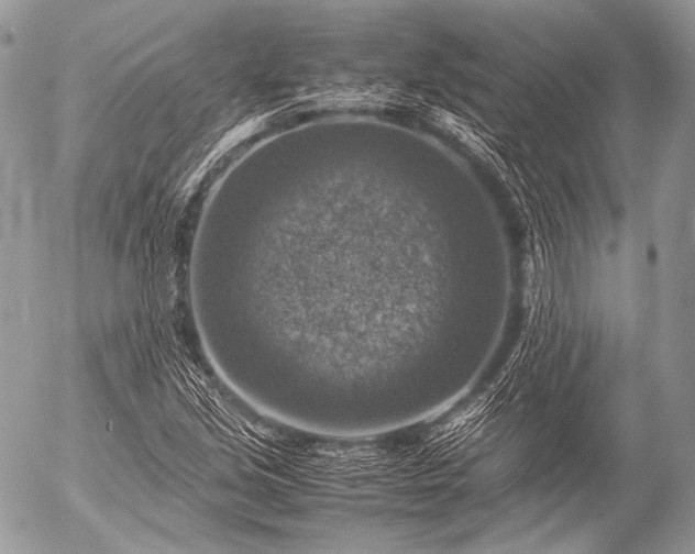 X0000053051213200507251414