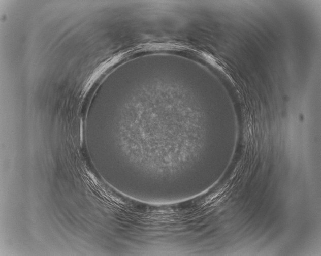 X0000053051221200507251414