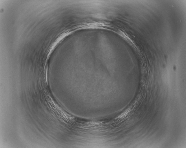 X0000053051224200507251414