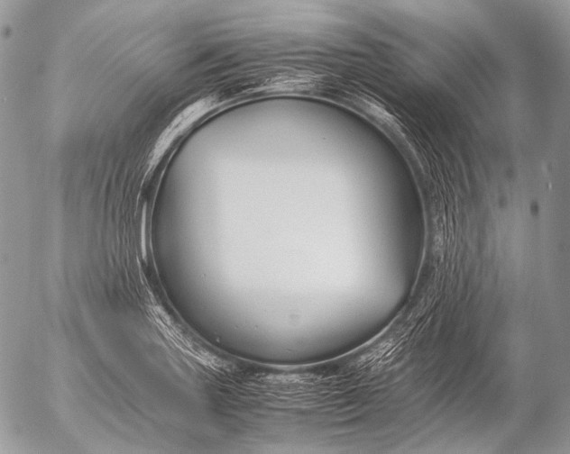 X0000053051227200507251414