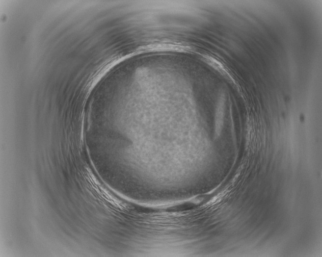 X0000053051228200507251414