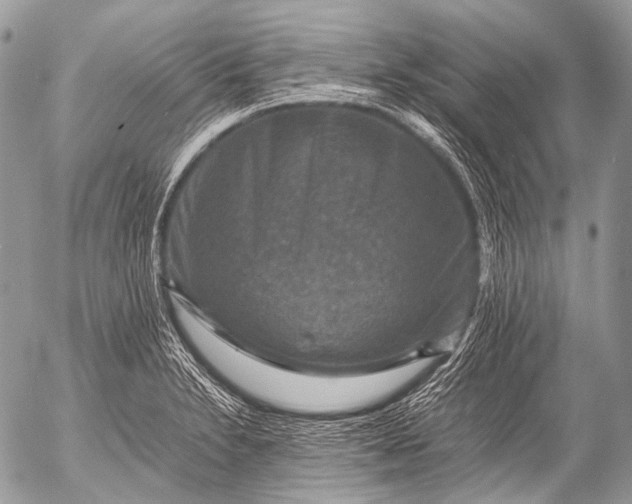 X0000053051230200507251414