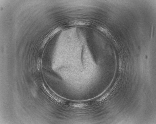 X0000053051233200507251415