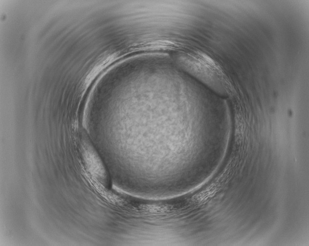 X0000053051234200507251415