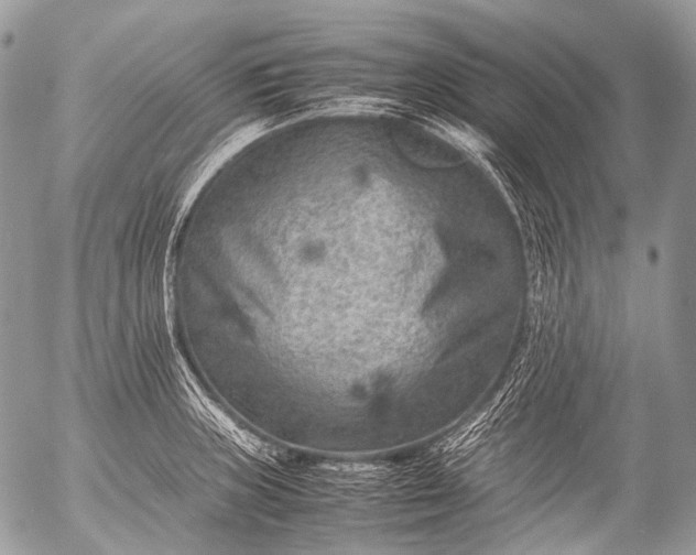 X0000053051235200507251415