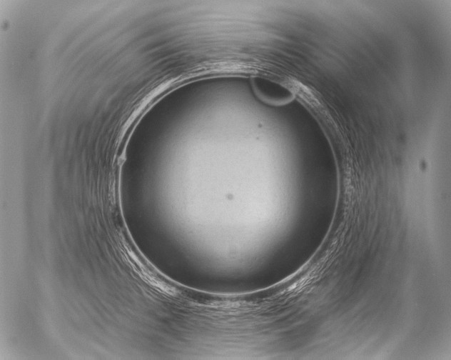 X0000053051236200507251415