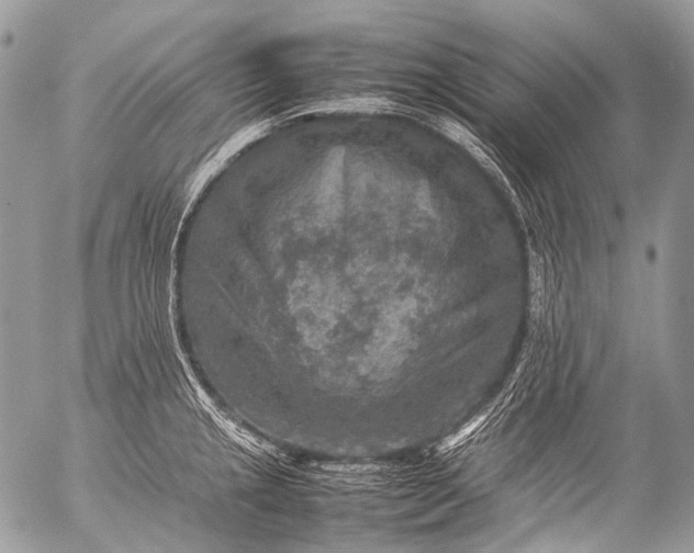 X0000053051237200507251415