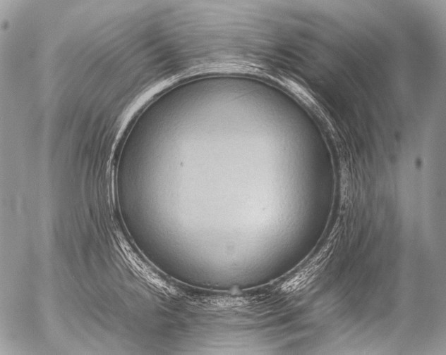 X0000053051238200507251415