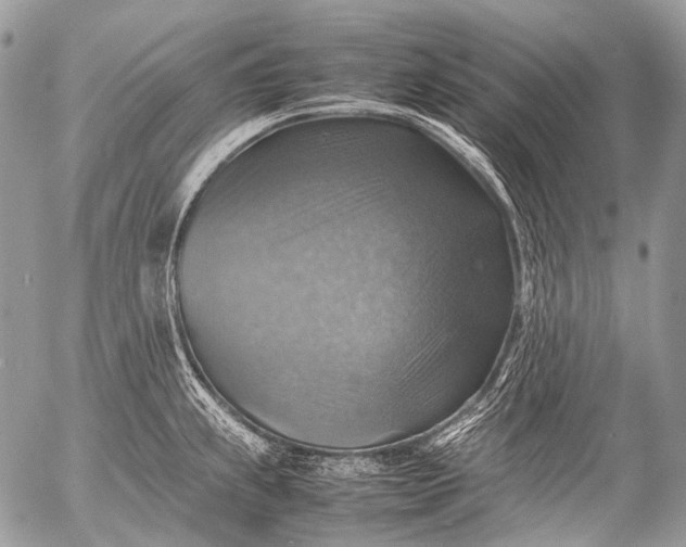 X0000053051239200507251415