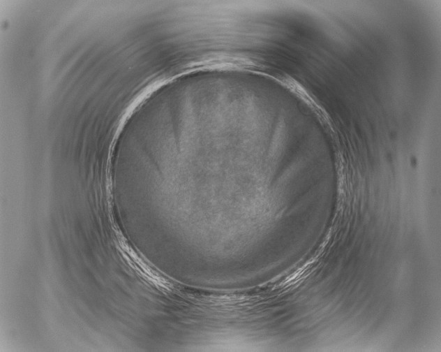 X0000053051240200507251415