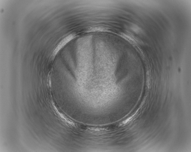 X0000053051241200507251415