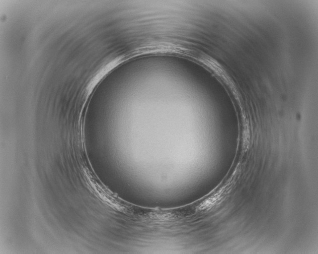 X0000053051242200507251415