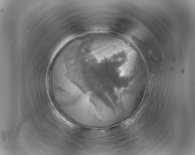 X0000053051243200507251415