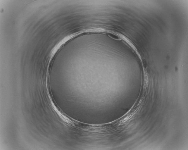 X0000053051245200507251415