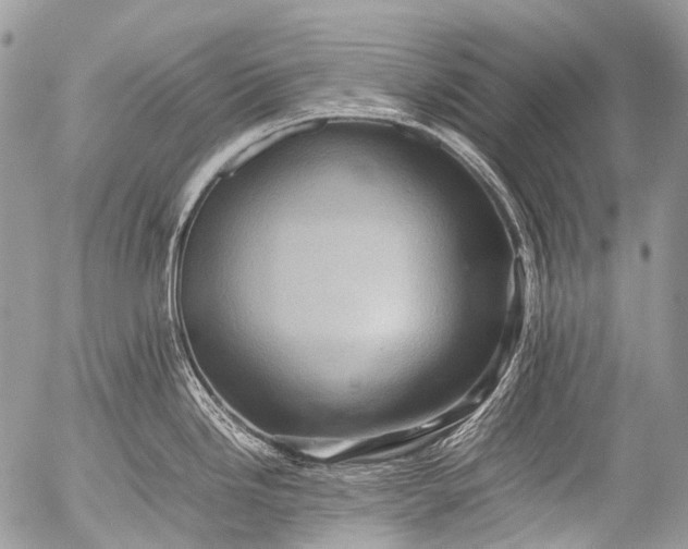 X0000053051246200507251415