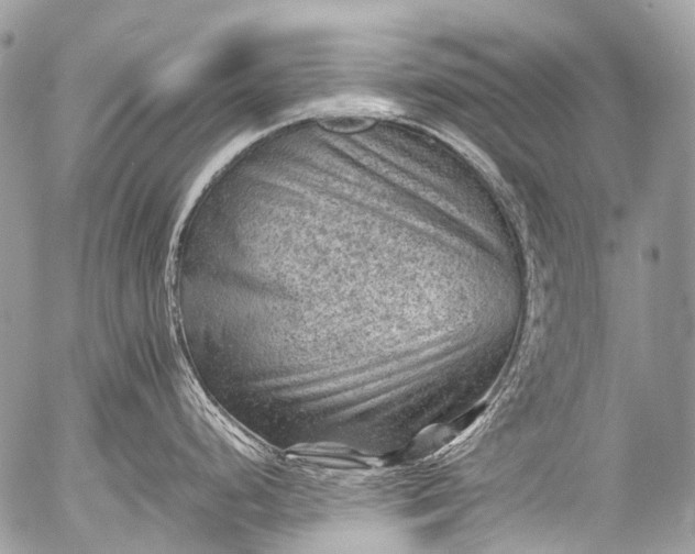 X0000053051248200507251415