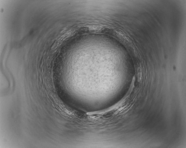 X0000053051249200507251414