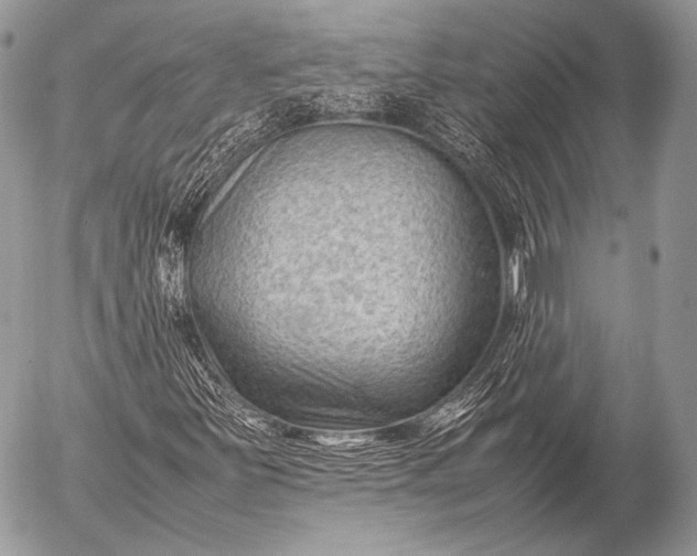 X0000053051251200507251414