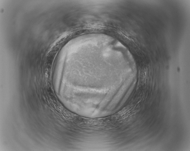 X0000053051254200507251414