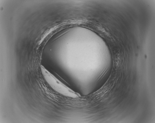 X0000053051256200507251414