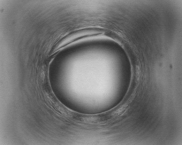 X0000053051257200507251414