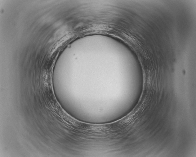 X0000053051258200507251414