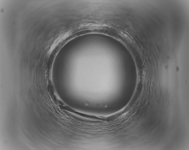 X0000053051261200507251414