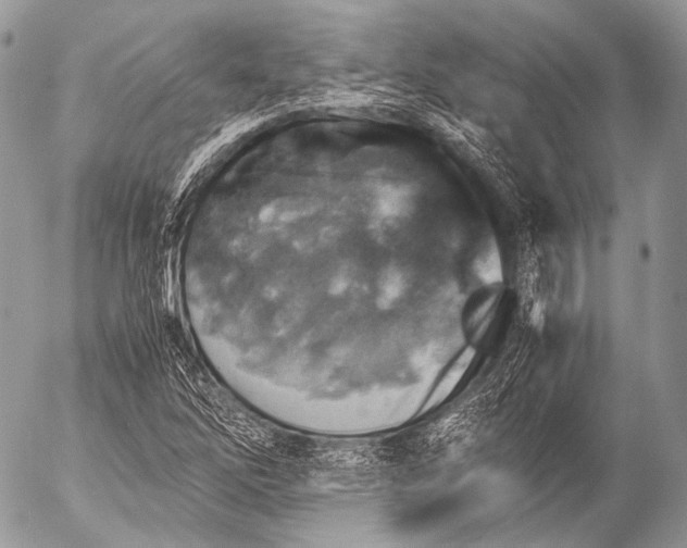 X0000053051262200507251414