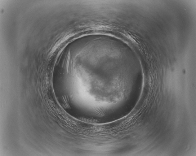 X0000053051263200507251414