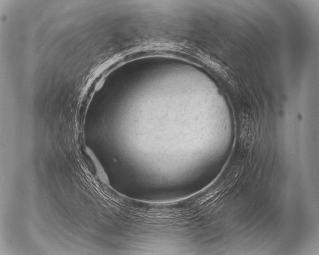 X0000053051264200507251414