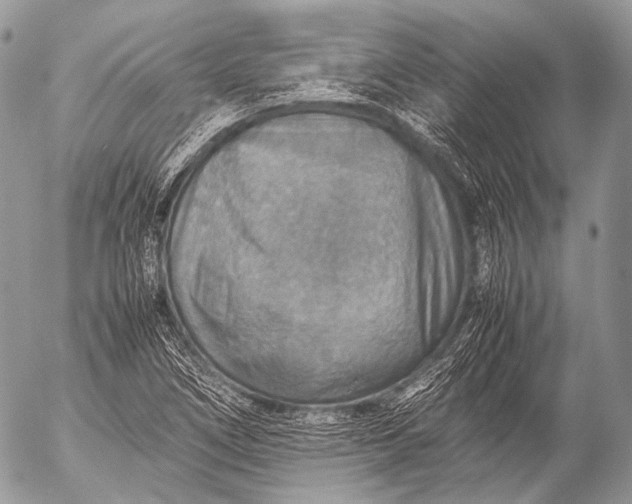 X0000053051266200507251414