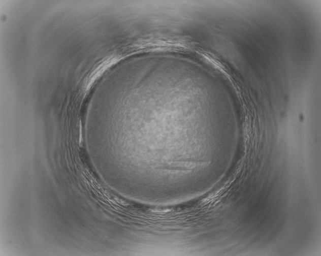 X0000053051267200507251414