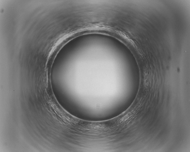 X0000053051270200507251414