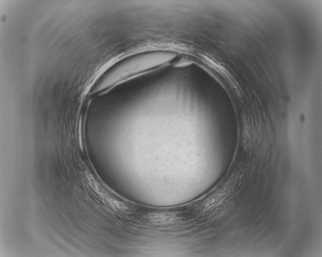 X0000053051272200507251414