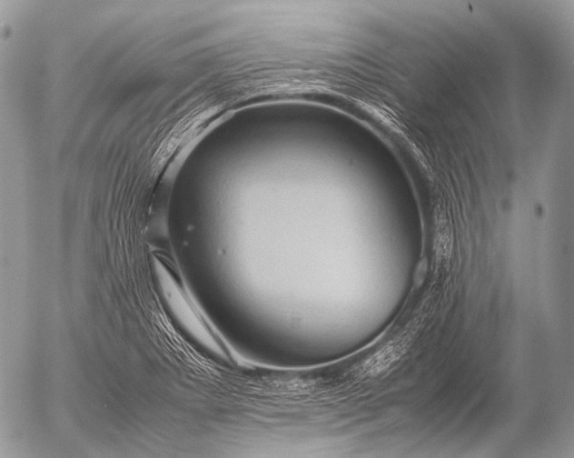 X0000053051273200507251414