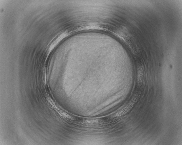 X0000053051274200507251414