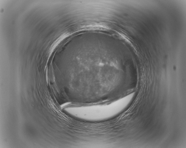 X0000053051275200507251414