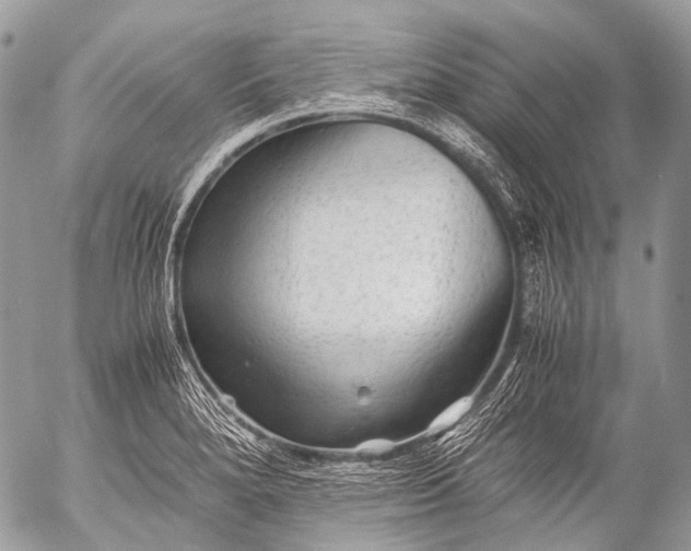 X0000053051280200507251414