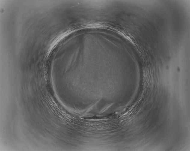 X0000053051311200507251413