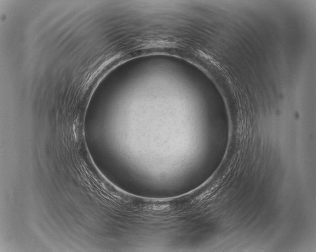 X0000053051313200507251413