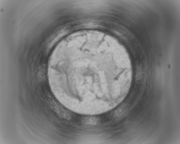X0000053051314200507251413